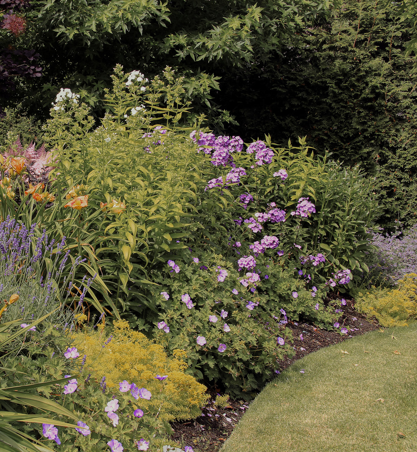 Kompozicijski vrtovi kao prostori inspiracije napravljeni od strane dizajnera vrtova