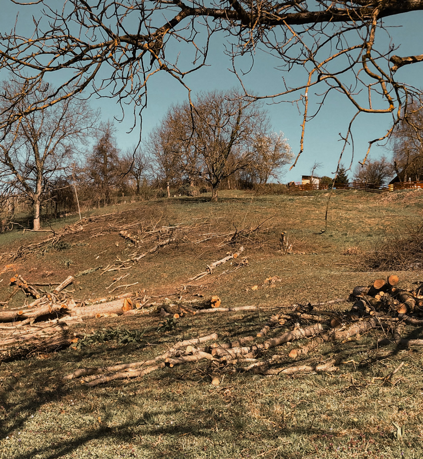 Zemljani radovi na imanju, krčenja starih nasada oraha