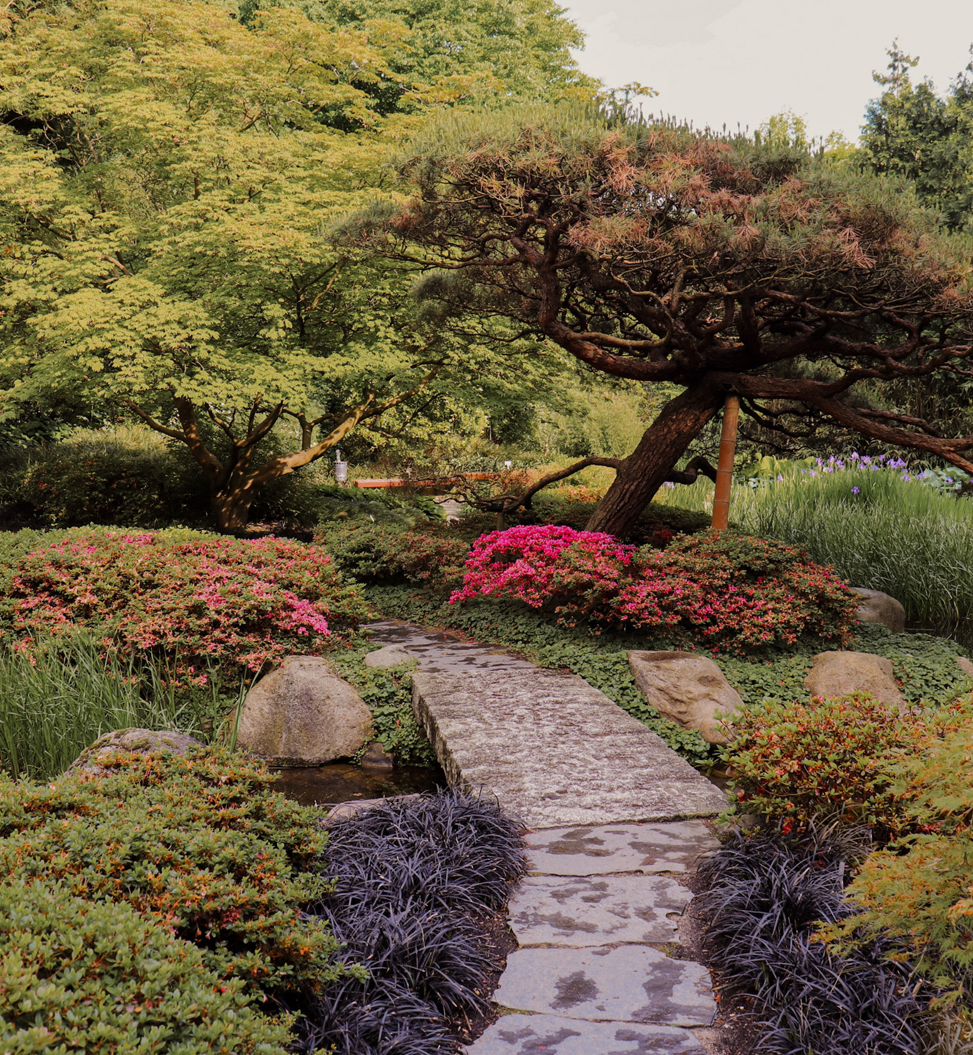 Japanski vrt kao dio tematskih vrtova Porta botanice