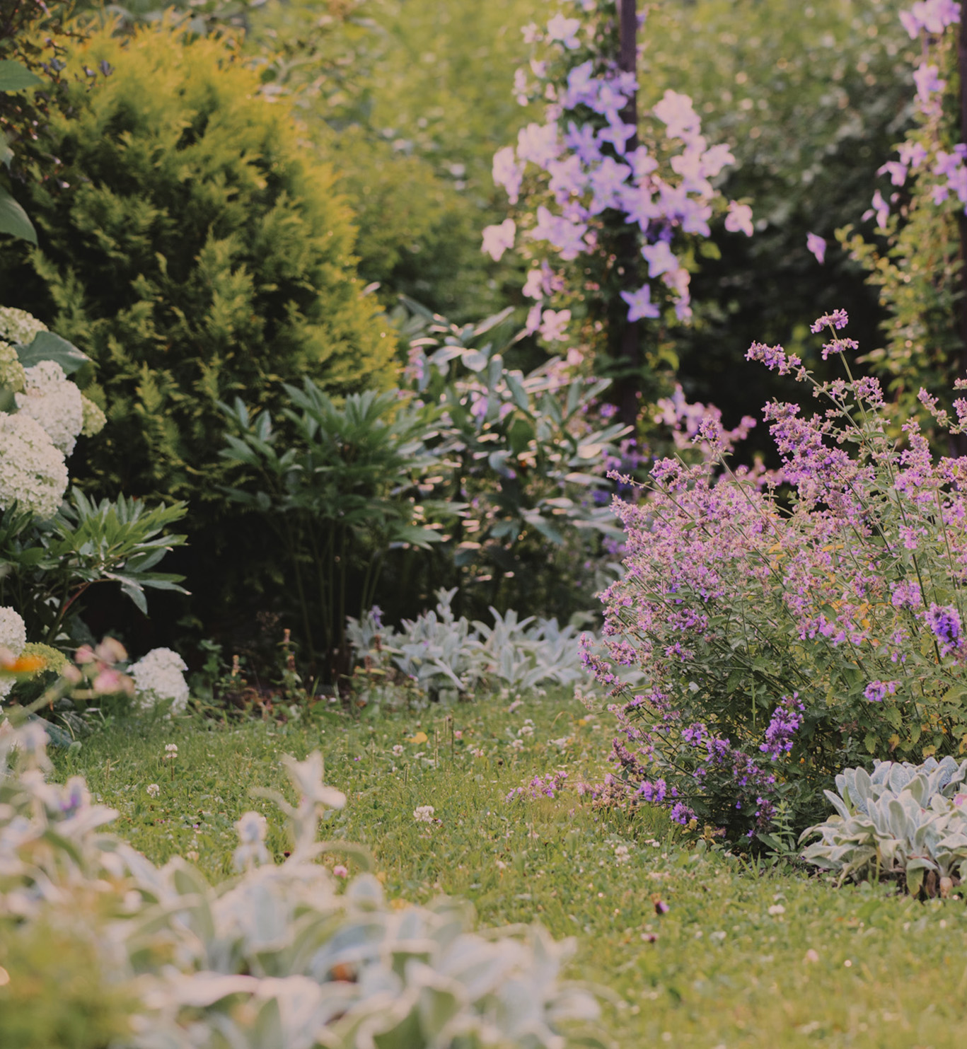 Engleski cottage garden kao jedan od tematskih vrtova Porta Botanice