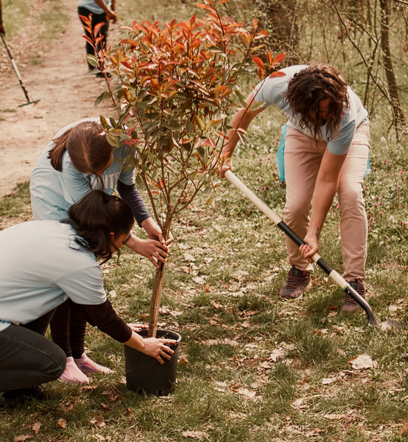 Čuvari Porta Botanice kao osobe koje financijski podržavaju rad i realizaciju projekta putem donacija