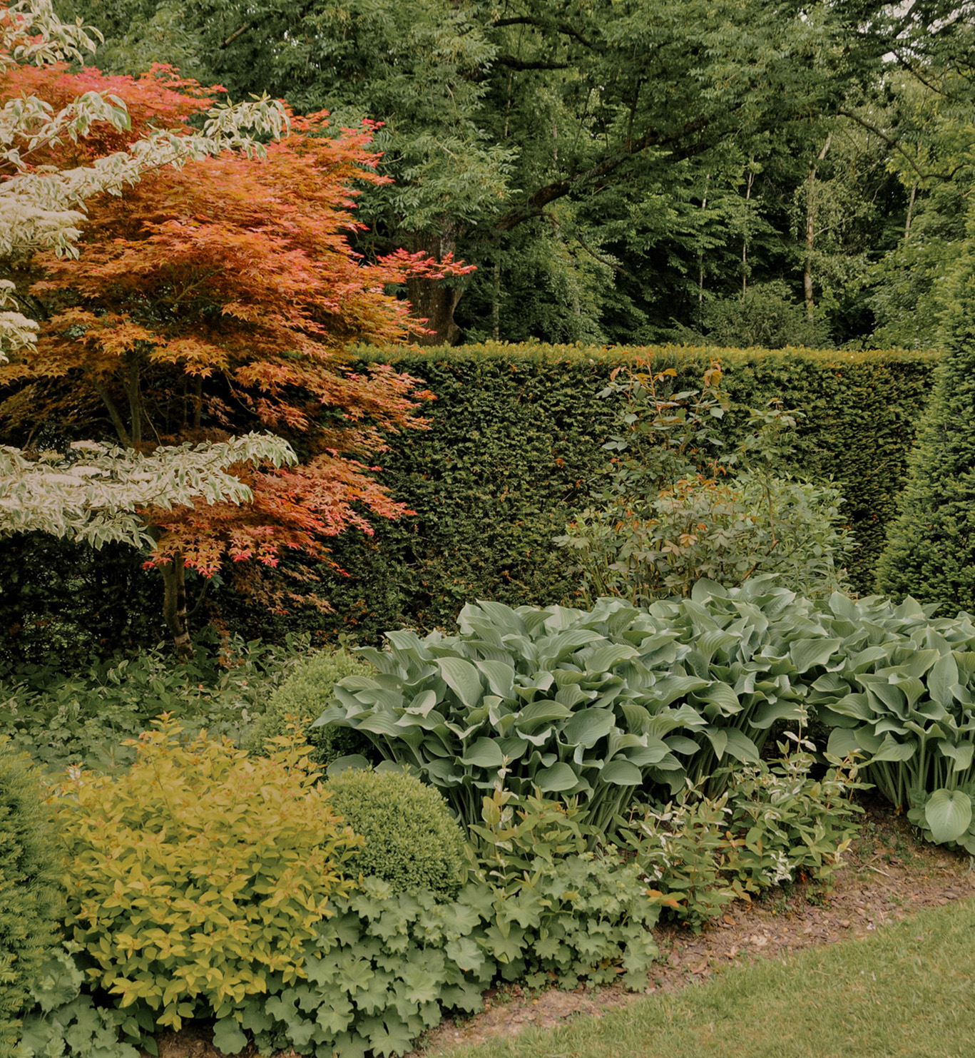 Kompozicijski vrt postavljen kao prostor razumjevanja odnosa između biljaka